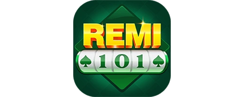 >Remi101